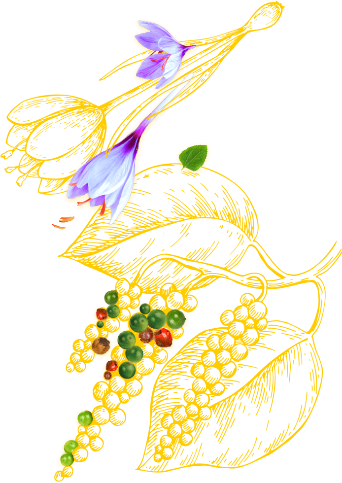 Navbar illustration